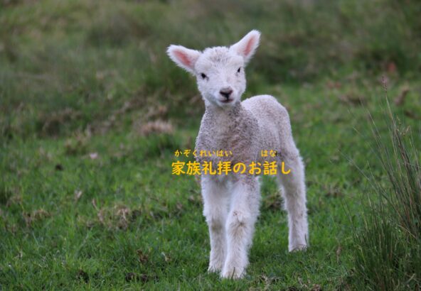 生命の大地に根を下ろし: 親鸞の声を聞いた人たち 樹心社 松本 梶丸 初版 生命の大地に根を下ろし 親鸞の声を聞いた人たち